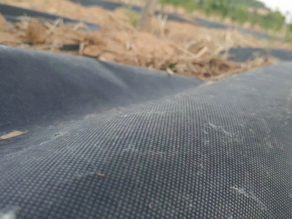 新型可降解果园生态防草布