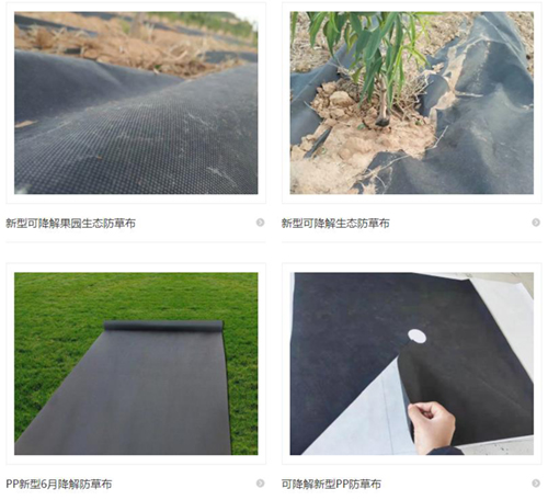 农业上应用的新型可降解防草布不仅防草这一项优势