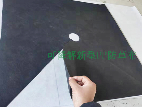 新型可降解防草布生产材料同样可以用于生产口罩