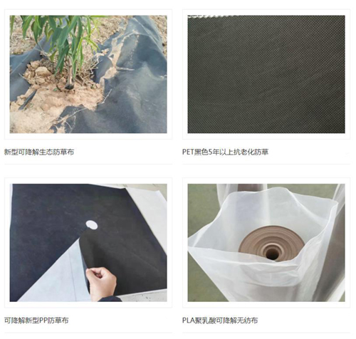 新型可降解防草布在农业中的“新”用法